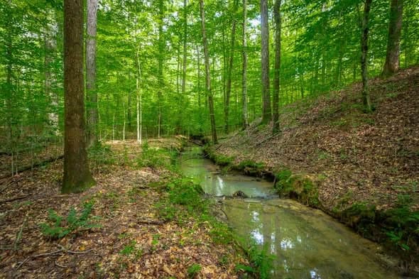 10.58 Acres in Walker County, Georgia