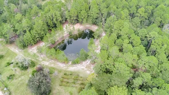 31 Acres in Effingham County, Georgia