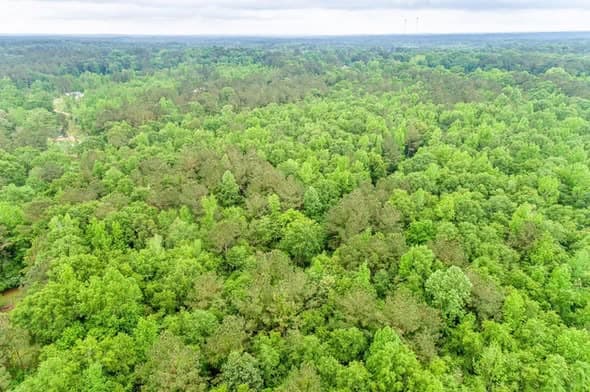 8 Acres in Lamar County, Mississippi