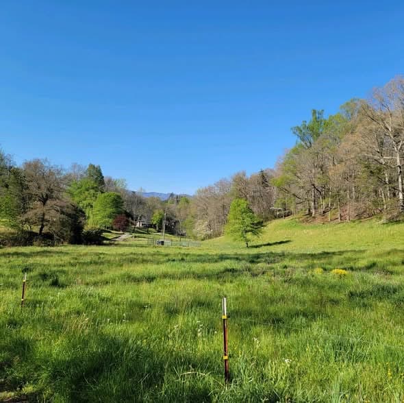23.05 Acres in Jackson County, North Carolina